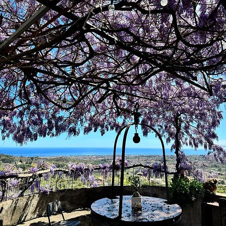 Bed and Breakfast il noceto dell'etna Giarre Esterno foto