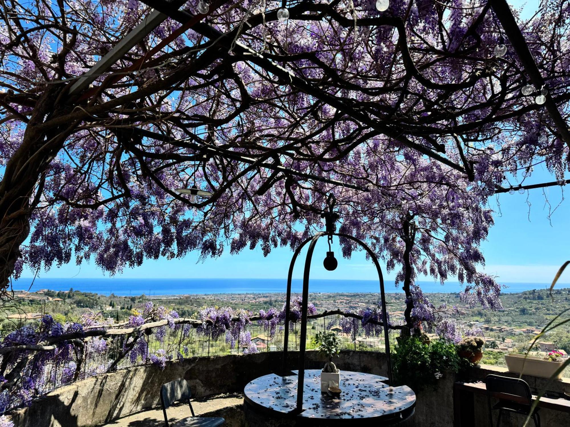 Bed and Breakfast il noceto dell'etna Giarre Esterno foto